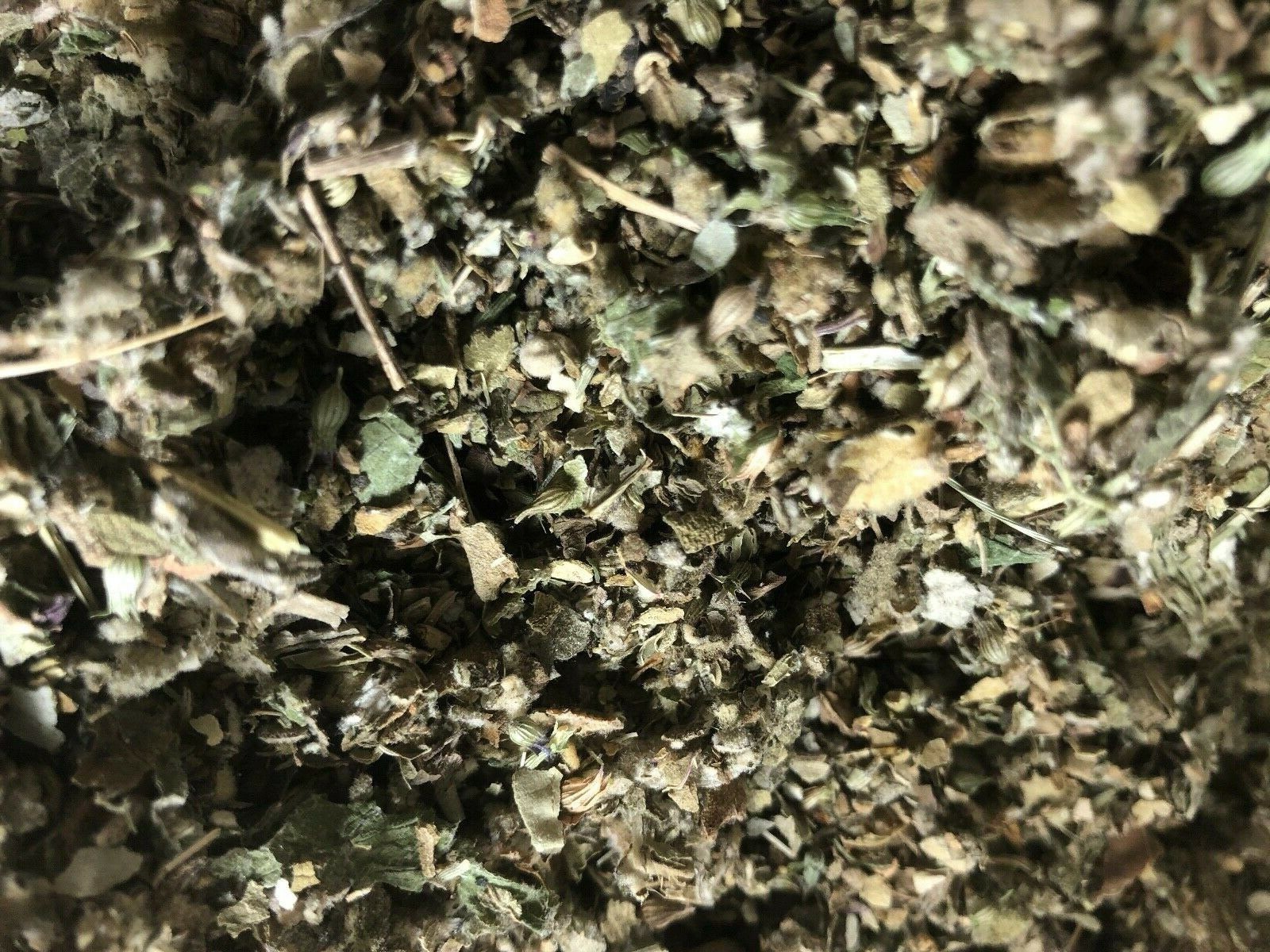 Osha Root Lobelia Mullein Coltsfoot Catnip Raspberry Leaf Spearmint No.23 Blend gallery