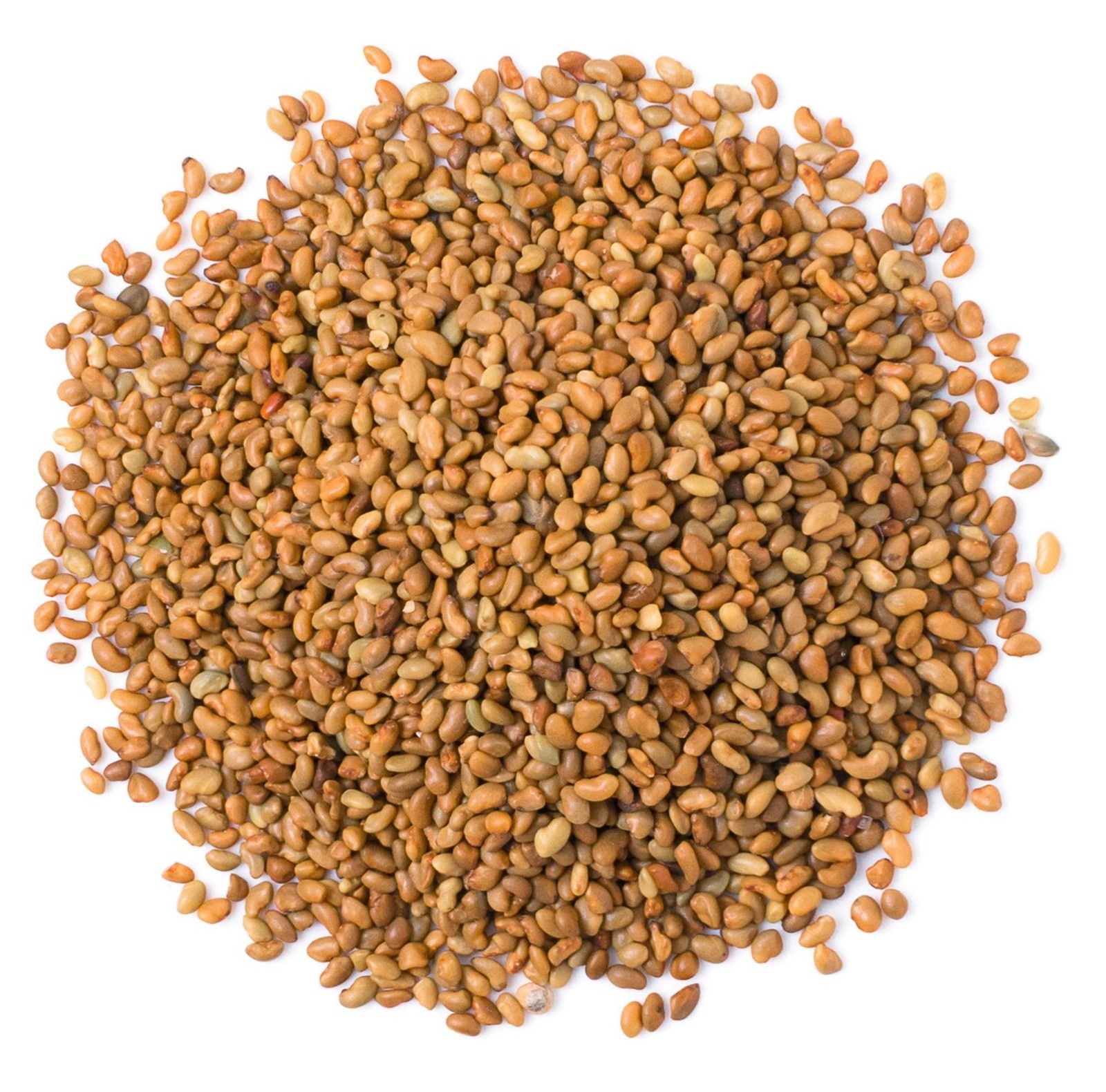 Alfalfa Seeds for Sprouting – Sproutable , Kosher, Raw, Vegan – by Food to Live gallery