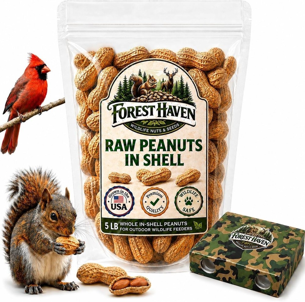Raw Peanuts for Squirrels Peanuts in Shell for Birds, Deer & Wildlife USA Grown
