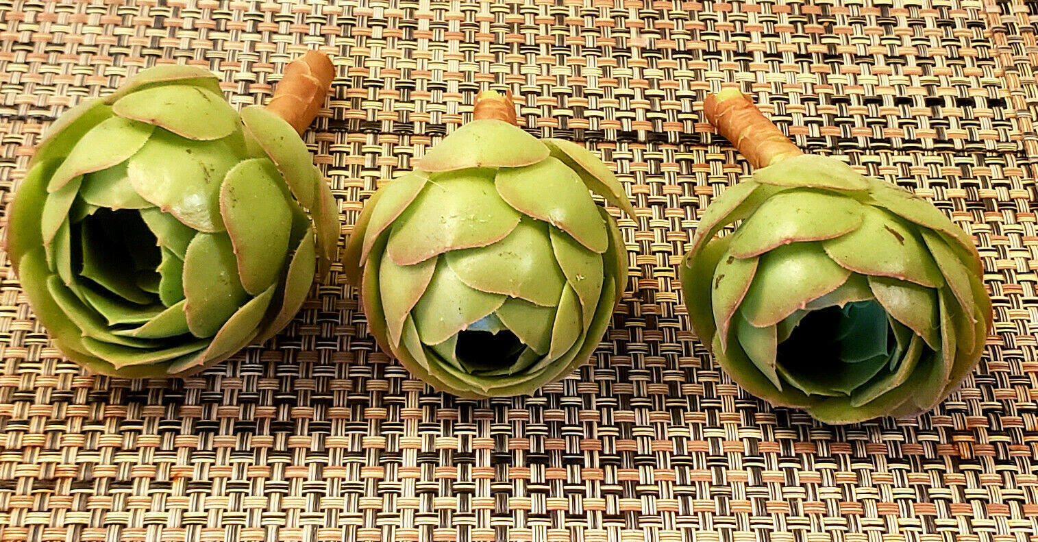 2 x AEONIUM SPP CUTTING - LOOKS LIKE A ROSE BUD - 2" (= 5 CM) diameter gallery