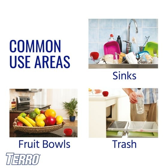 Indoor Fruit Fly Trap, (2-count) , Terro Traps, In Built With Window Sinks... gallery