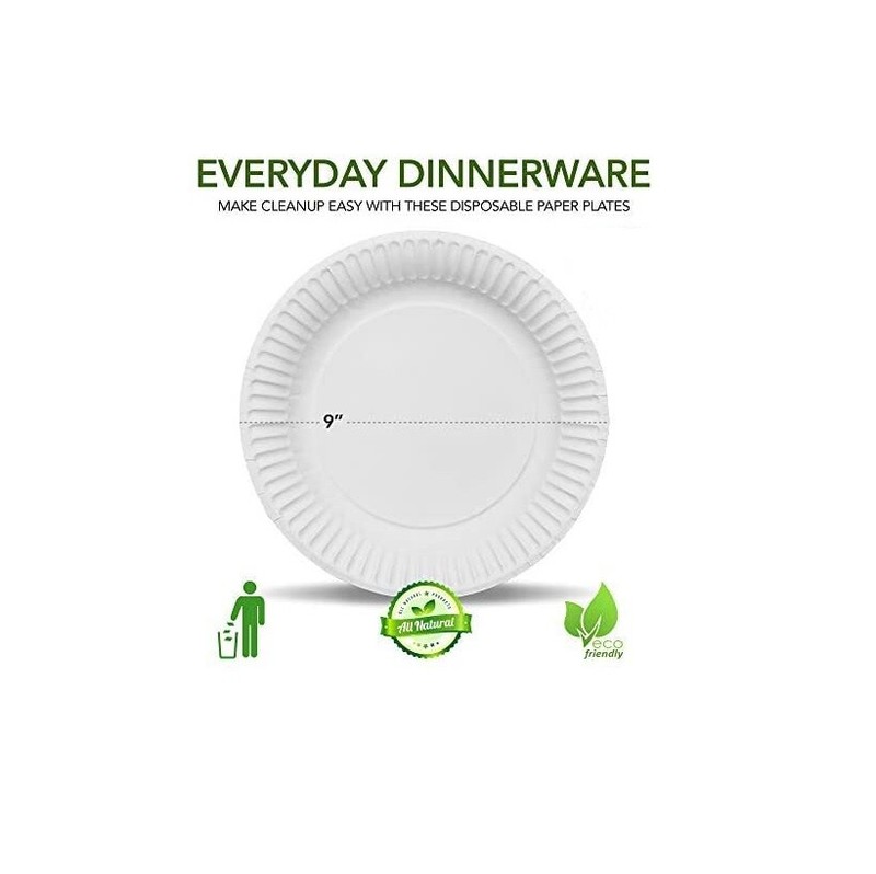 500 Count 9-Inch Paper Plates Uncoated Disposable Dinner Plates White gallery