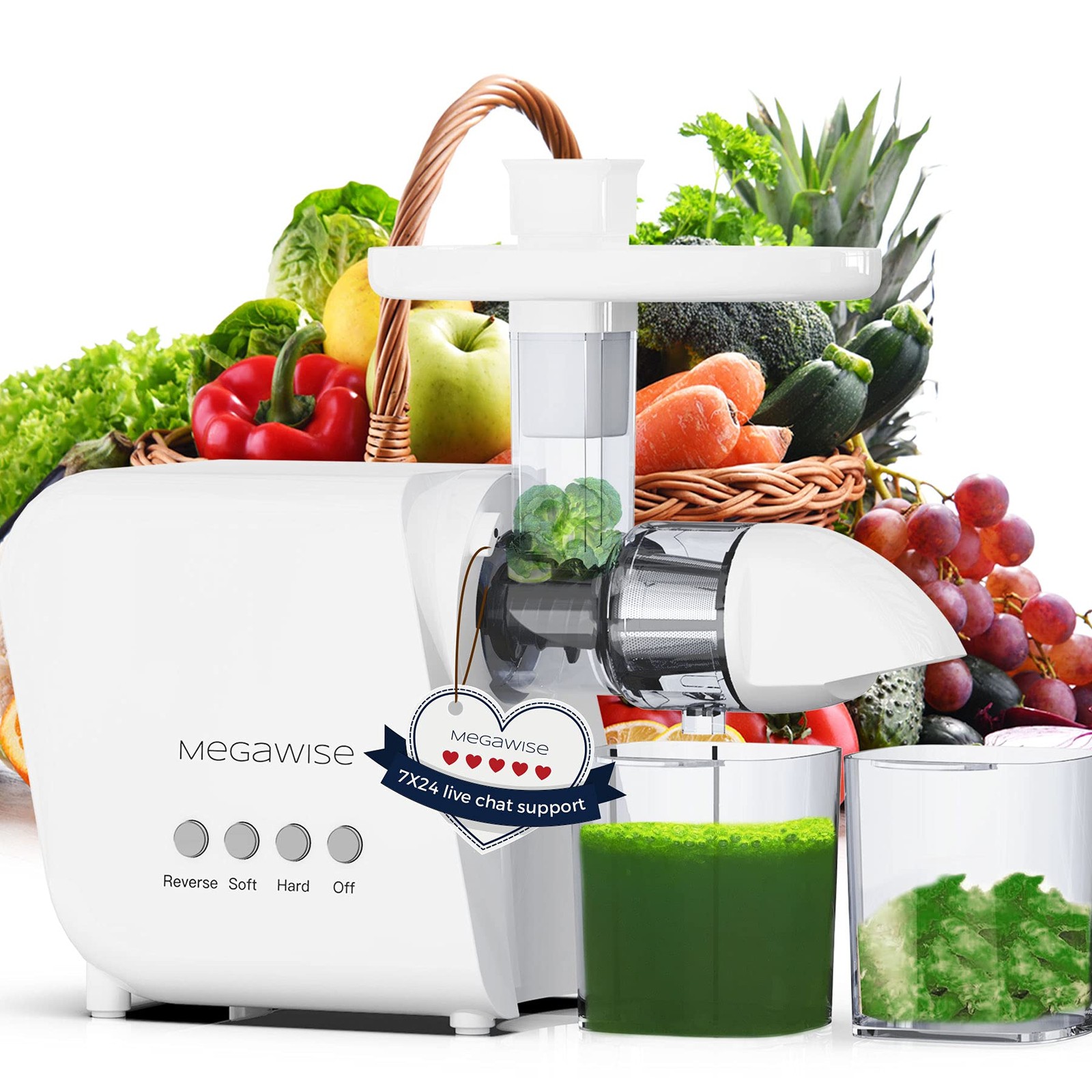 Megawise Pro 2025 Updated Slow Masticating Juicer 95 Juice Yield 2-Speed gallery