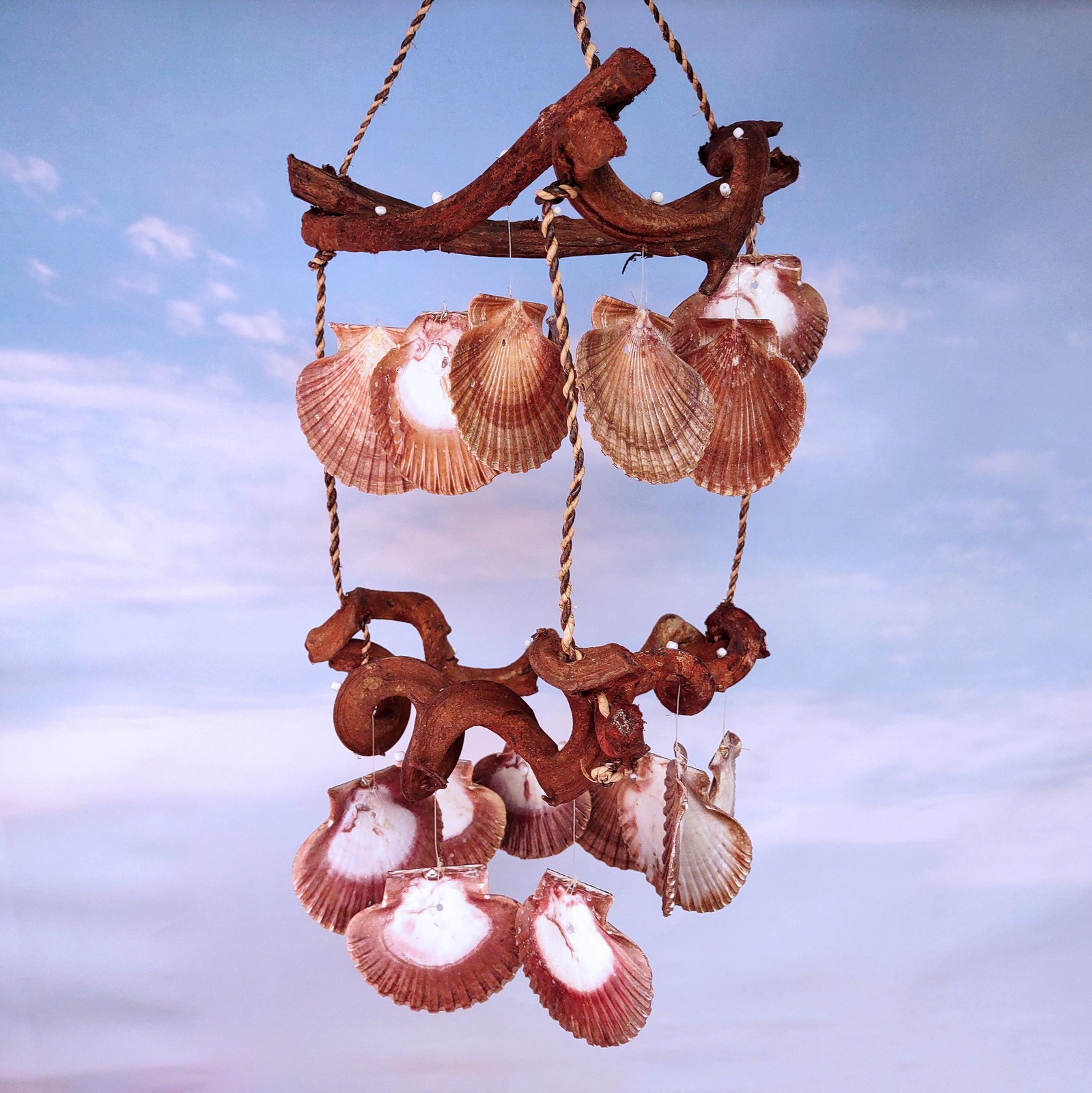 Rustic Driftwood Scallop Seashell Wind Chime (1 chime approx. 9 x 21 inches) gallery