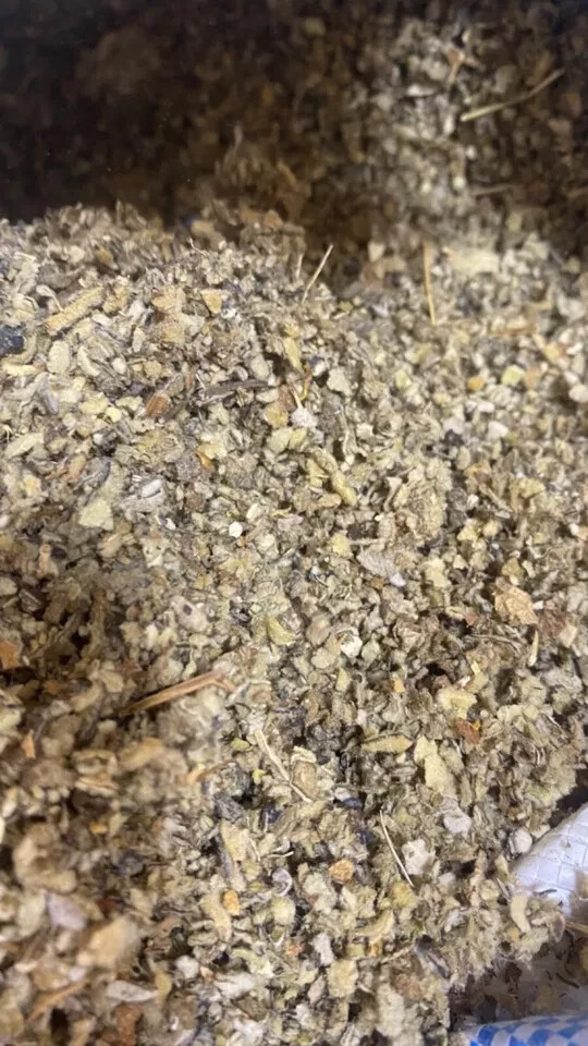 Mullein Leaf - Bulk Cut c/s Organic Healing Medicinal Lung Herb - 16 oz's ounces gallery