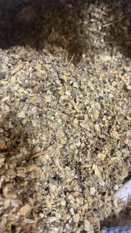Mullein Leaf - Bulk Cut c/s Organic Healing Medicinal Lung Herb - 16 oz's ounces gallery