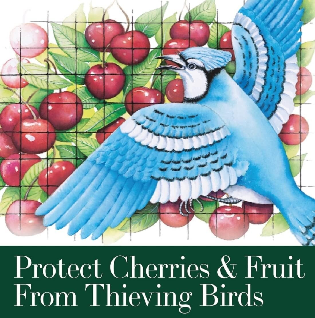 Dalen Bird X Protective Mesh Netting - Keep Birds and Pests Away 28 ft. x 28 ft. gallery