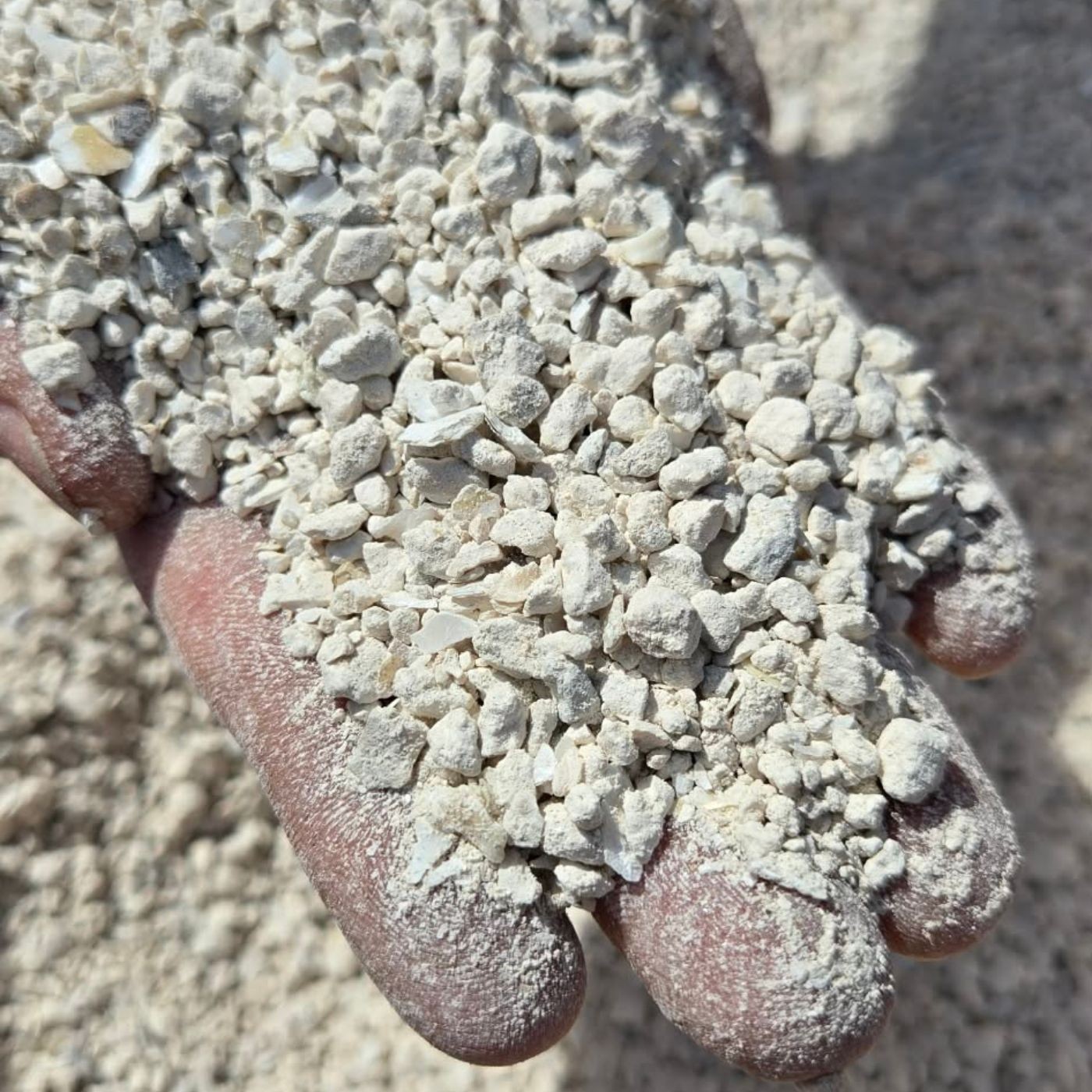 100% All Natural Crushed Oyster Shell Soil Amendment Choose Size FREE SHIPPING gallery