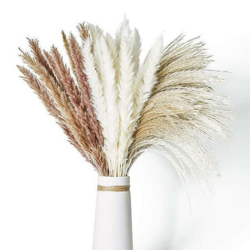 60Pcs Natural Dried Pampas Grass Reed Flower Bunch Bouquets Xmas Wedding Decor gallery