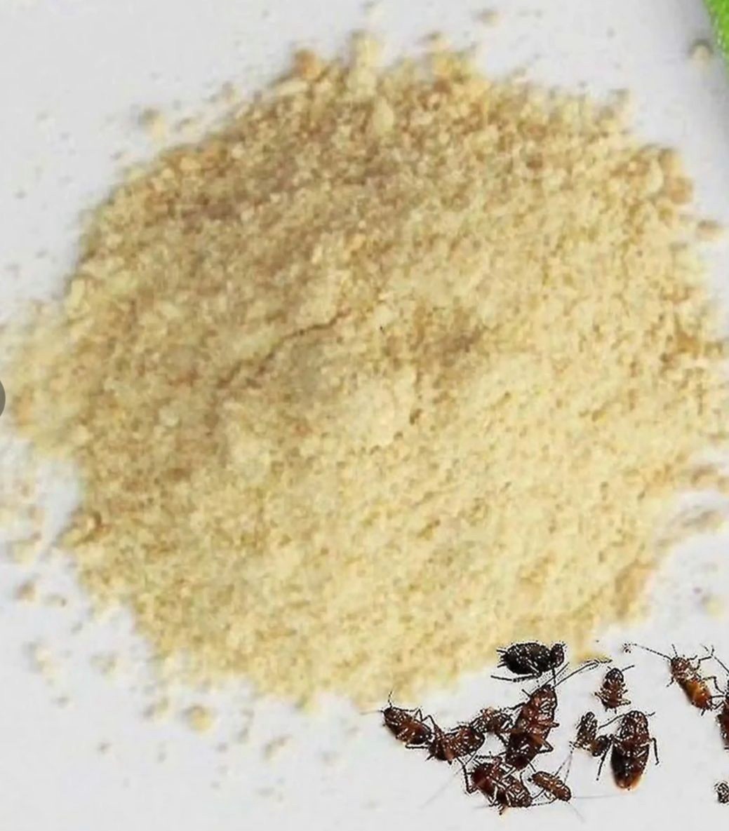 Cockroach killing Bait powder 10 packets poison kills insects Ants bugs… gallery