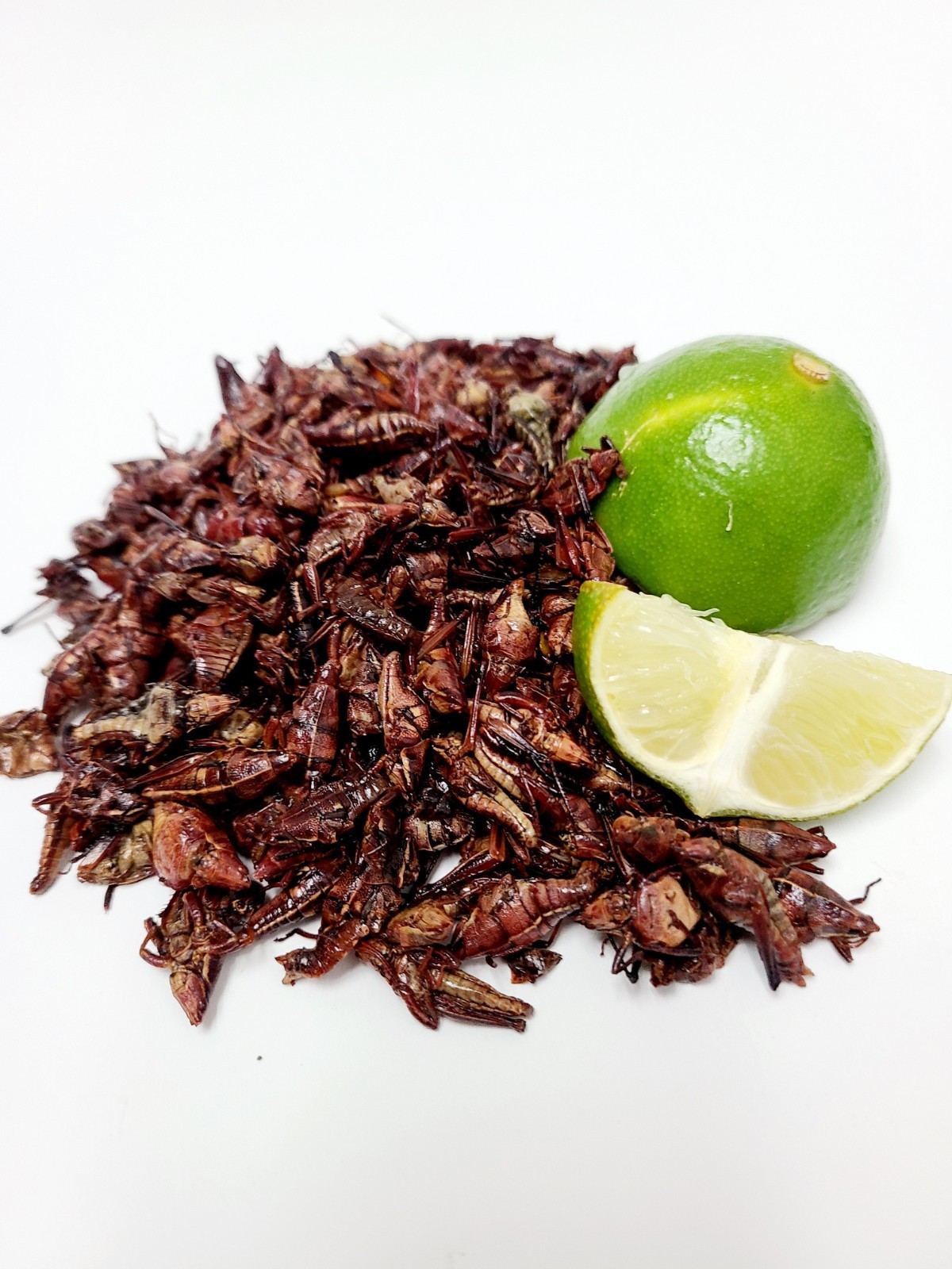 2 LB FRESH CHAPULINES CON LIMONCITO (grasshoppers w/lime) From OAXACA gallery