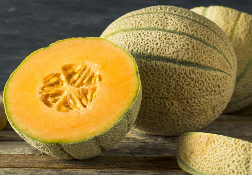 200+ HONEY ROCK CANTALOUPE - MELON - HEIRLOOM - ORGANIC - NON-GMO ---- FRESH gallery