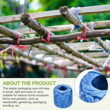 Polyester Nylon Plastic Twine 30 Mm-225 m Long Household Packing Blue gallery