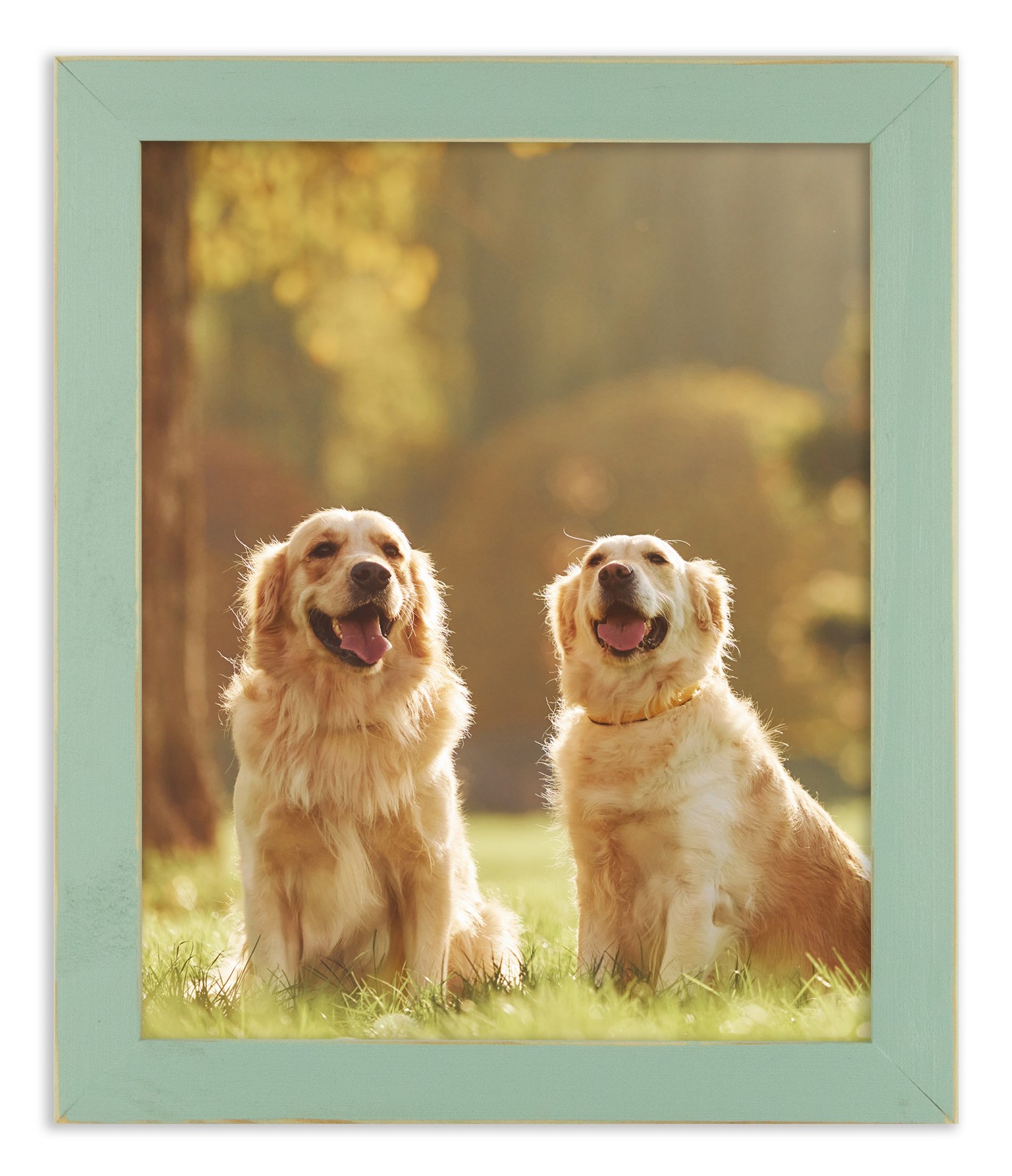 Distressed Emily - Robin Egg Blue Picture Frame - Solid Wood gallery