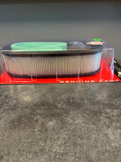 Briggs & Stratton OEM 394019S Air Filter and 272490S Pre-Filter gallery