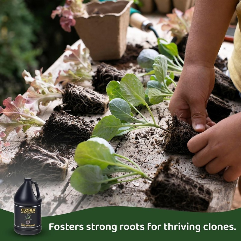 Clone Solution, Professional-Grade Nutrient Formula for Seedlings, Cuttings, ... gallery