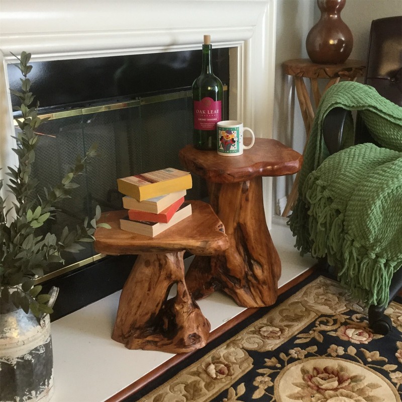 Natural Irregular Shape Tree Stump End Table Plant Stand, 14"x13"x18"H gallery