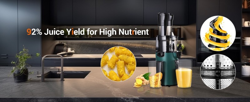 Slow Juicer Machine Masticating Cold Press Juicers Squeezer Vegetable Processor gallery