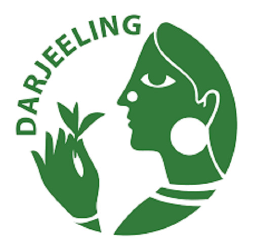DARJEELING TEA (FRESH FIRST FLUSH) PUTTABONG SFTGFOP I CLONAL SPECIAL 500 gms gallery