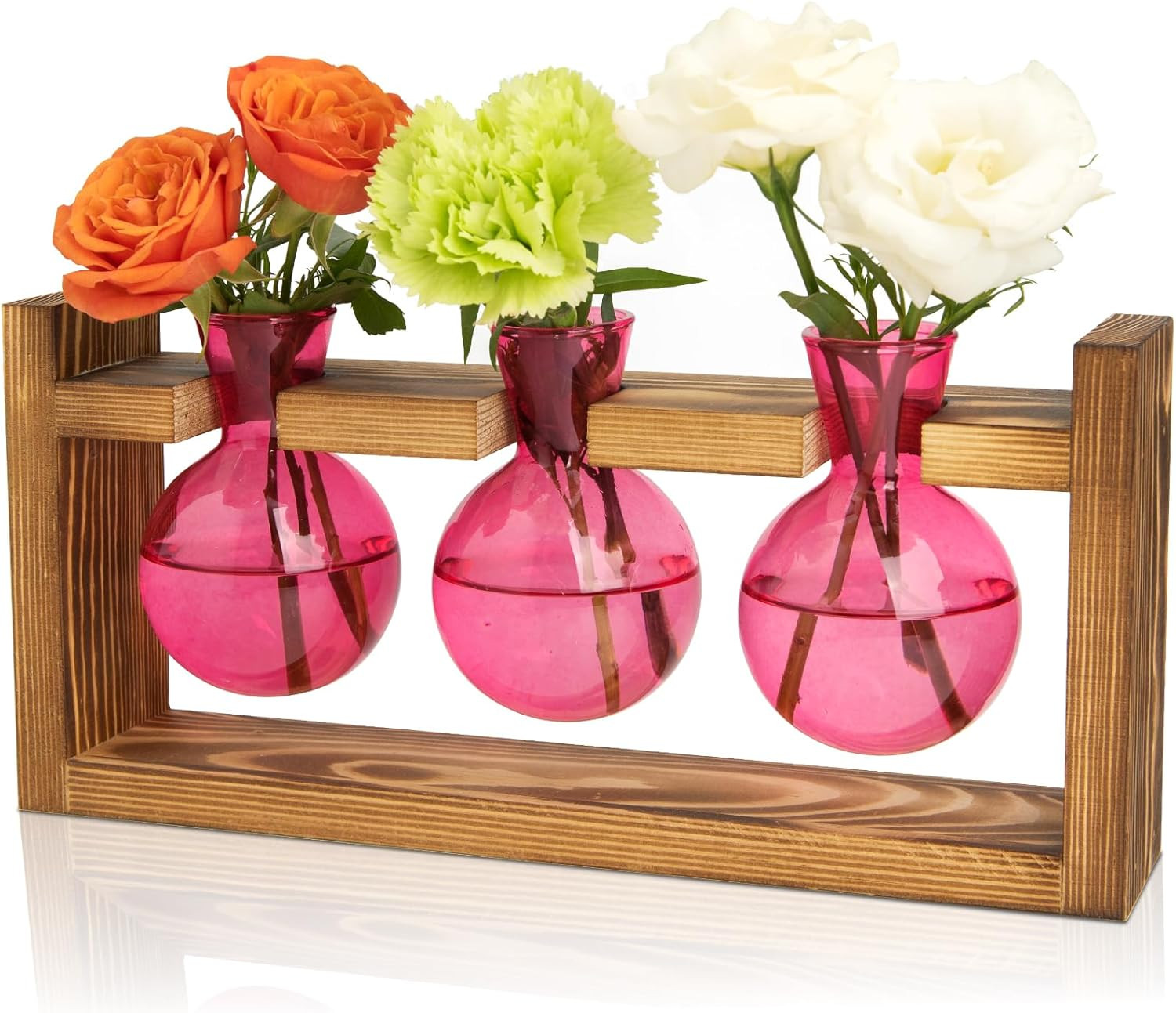 Glass Plant Terrarium Propagation Station, Gifts for Mom Plant Lovers Wife Daugh gallery