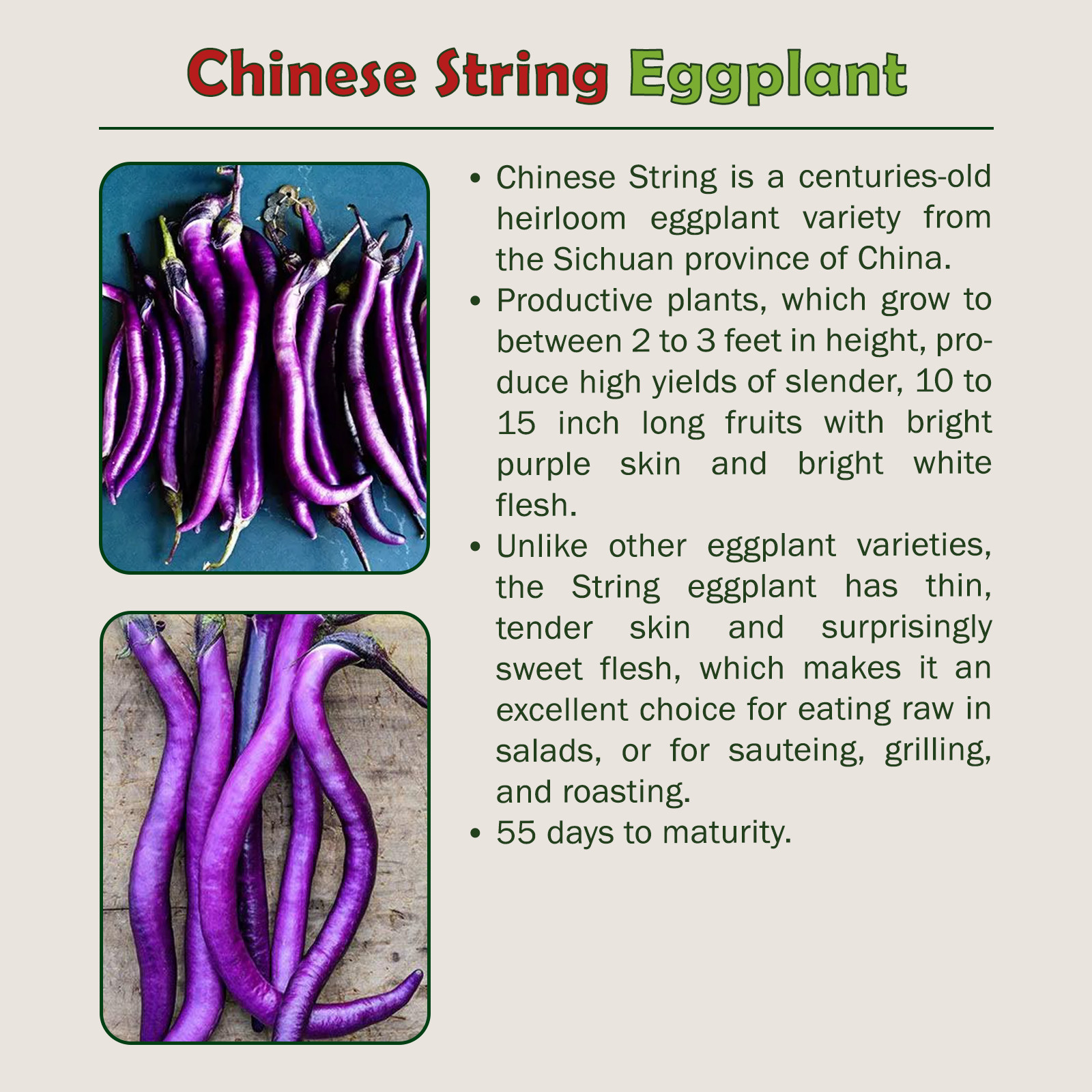 25 Chinese String Eggplant Seeds, Solanum melongena, Organic, Non-GMO, USA gallery