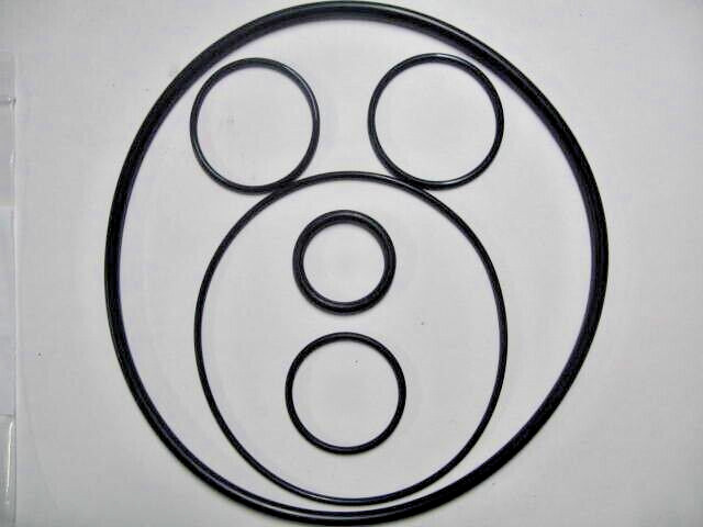 Pentair Easy Clean Complete Filter O-Ring Kit / R&S 226-447PE / FDA NSF61 Mat. gallery