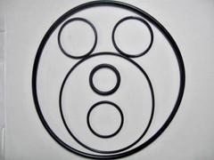 Pentair Easy Clean Complete Filter O-Ring Kit / R&S 226-447PE / FDA NSF61 Mat.