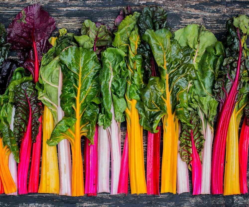 Rainbow Swiss Chard Seeds | Heirloom & Non-GMO | Fresh Garden Seeds gallery