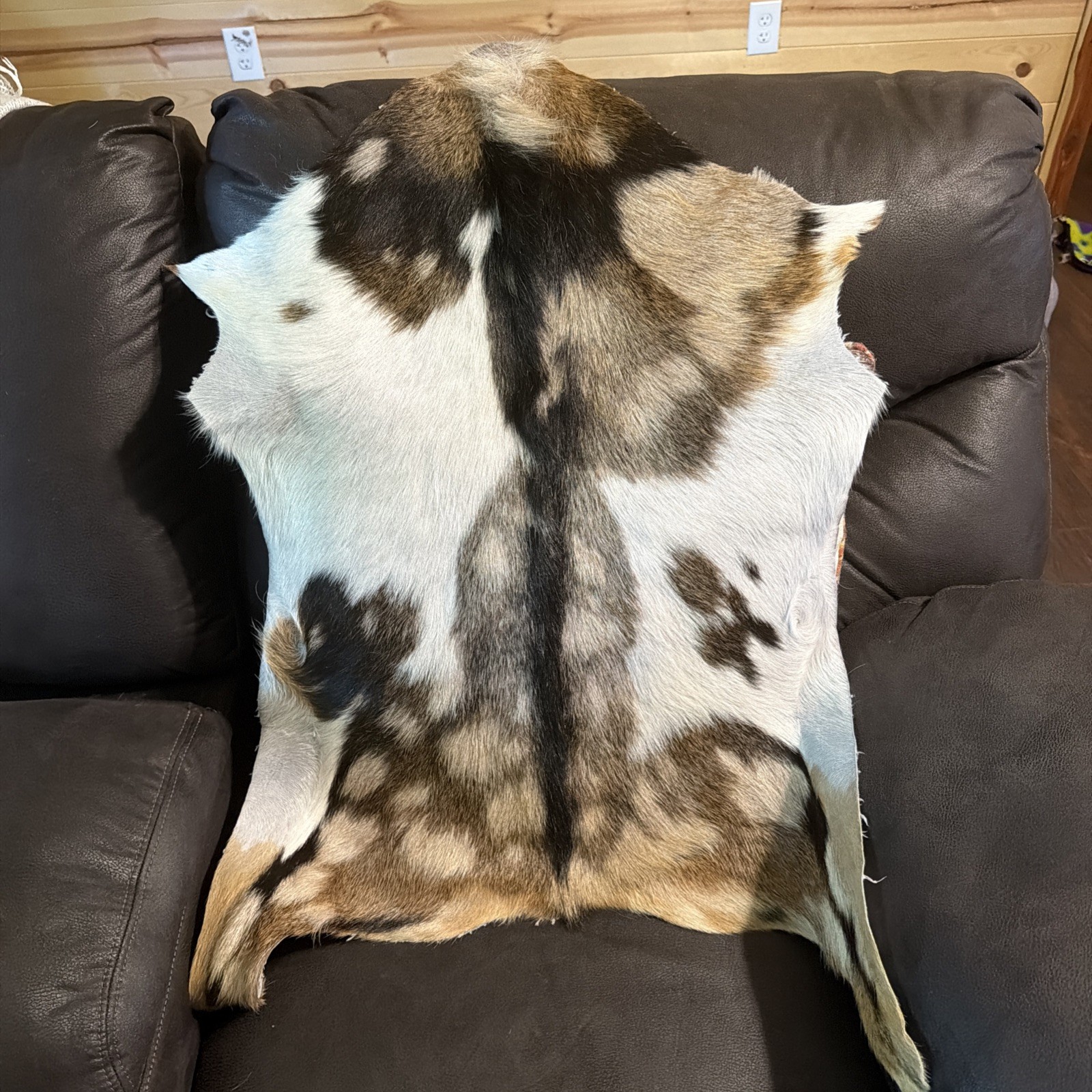 GOAT taxidermy Hide Rug Natural Pattern Fur. Excellent Condition gallery