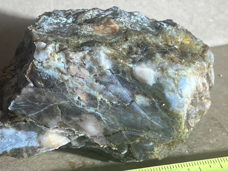 multicolored agatized petrified wood 2lb 9oz raw display decor gallery