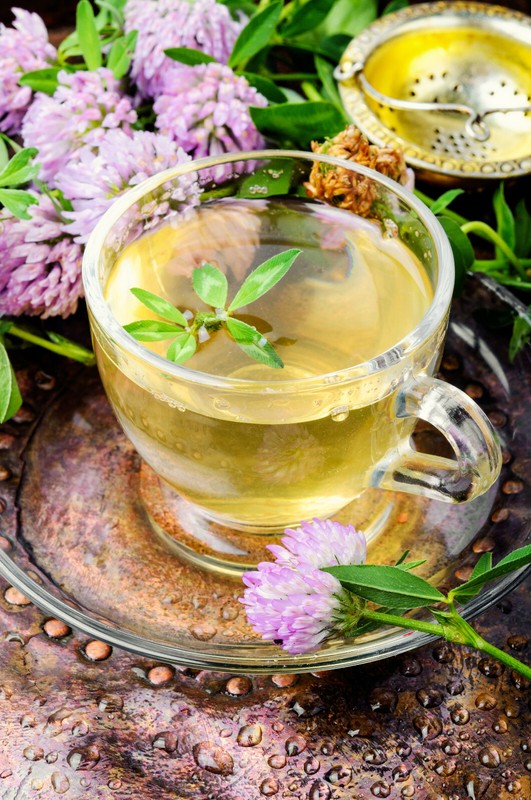 3,500+ MEDICINAL SEEDS: Alsike Pink Clover Herb Flower EASY, BULK, FREE SHIPPING gallery