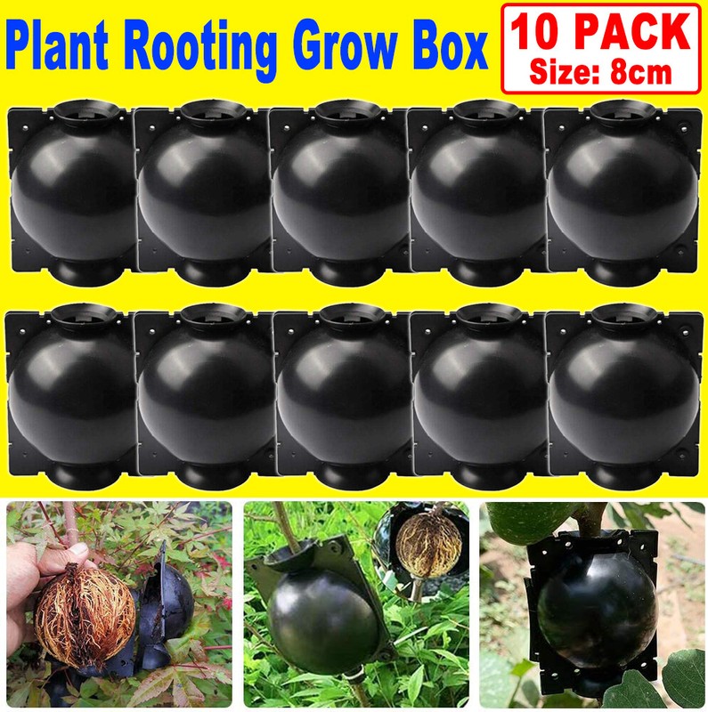 10/20Pcs 8CM Plant Root Craft Boxes High Pressure Propagation Layering Pod Balls gallery