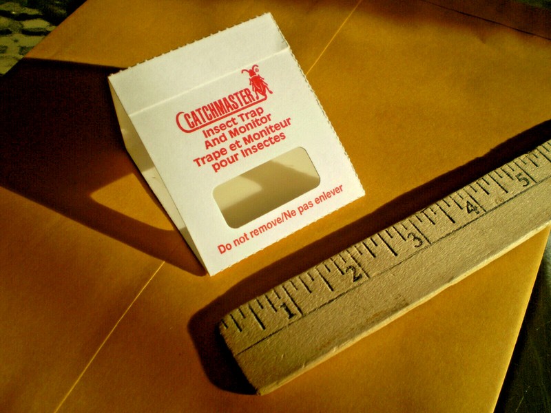 Insect Bug Roach Spider Creepy Crawler Glue Trap Qty 27 Free Domestic Shipping gallery