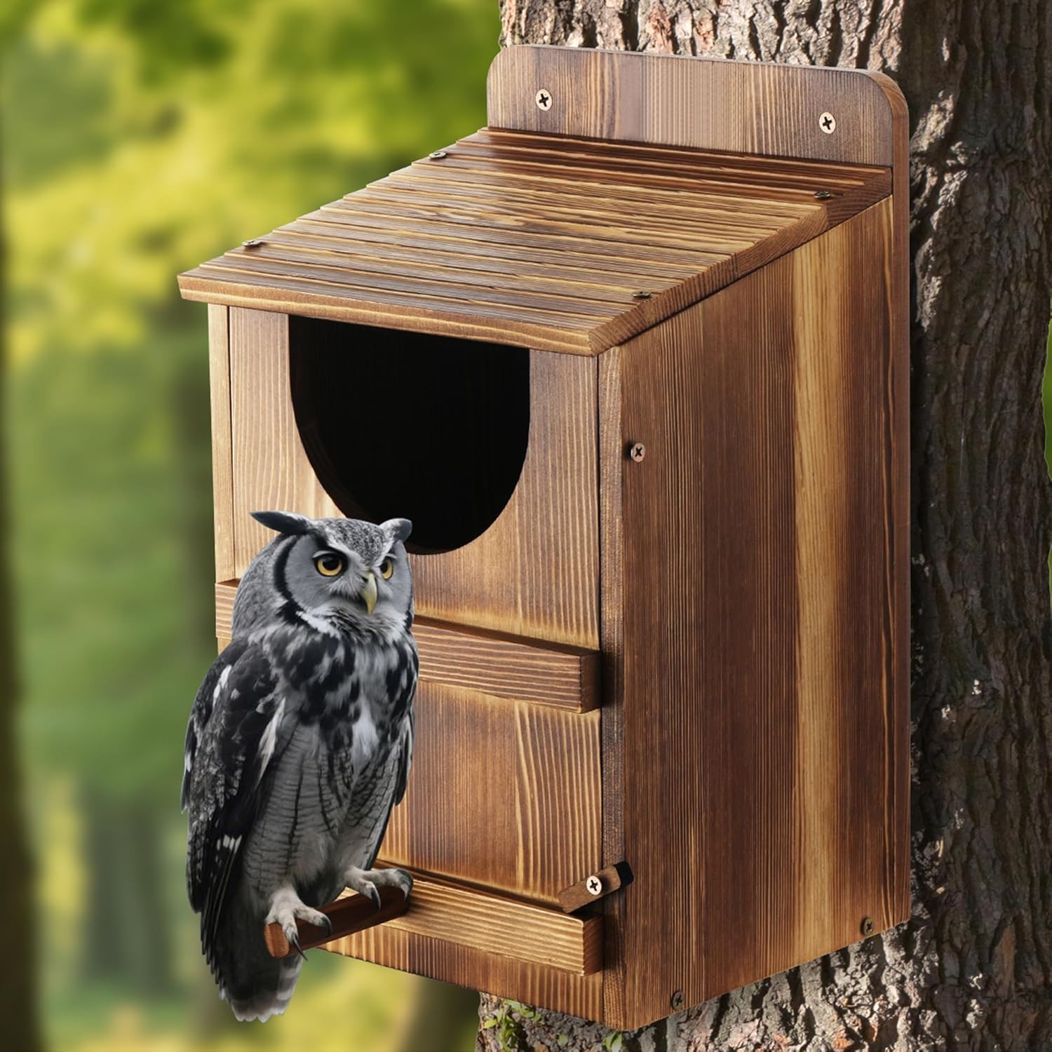 Barn Owl Nesting Box - Outdoor Wooden Owl House & Large Round Bird Nest Box gallery