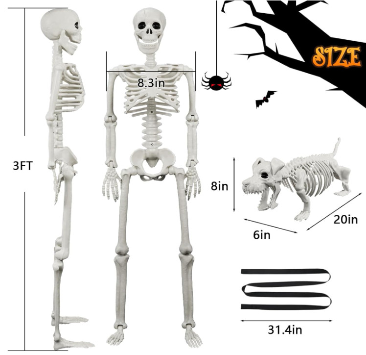 Esqueleto humano y de perro 91 cm iluminado, realista y articulado Halloween. gallery