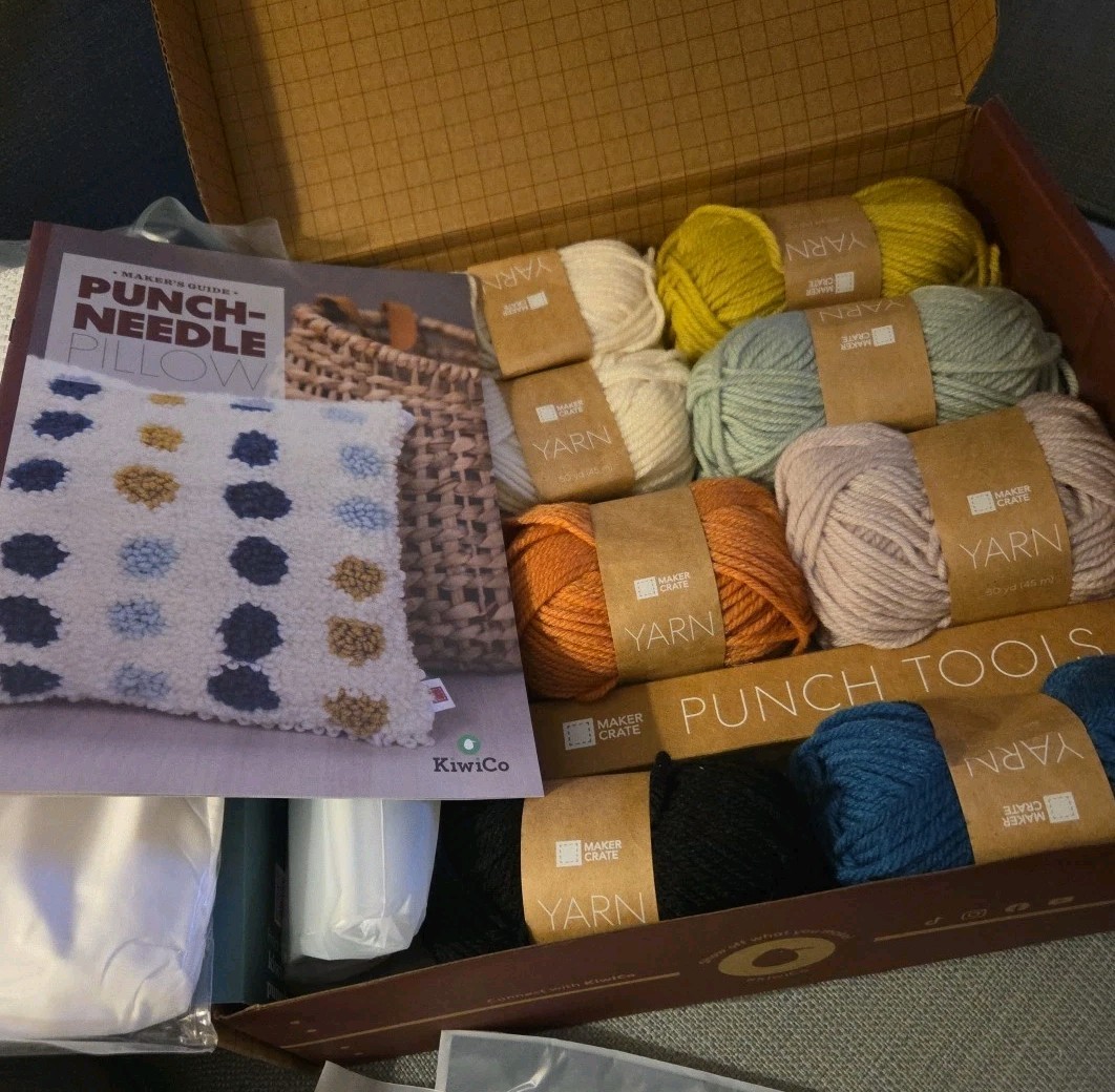 Punch Needle pillow kit. New in box! gallery