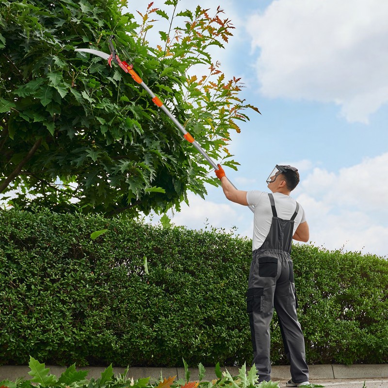 24 Feet Tree Pole Pruner, Durable Tree Trimmers Handle, Manual Branches Trimmer gallery