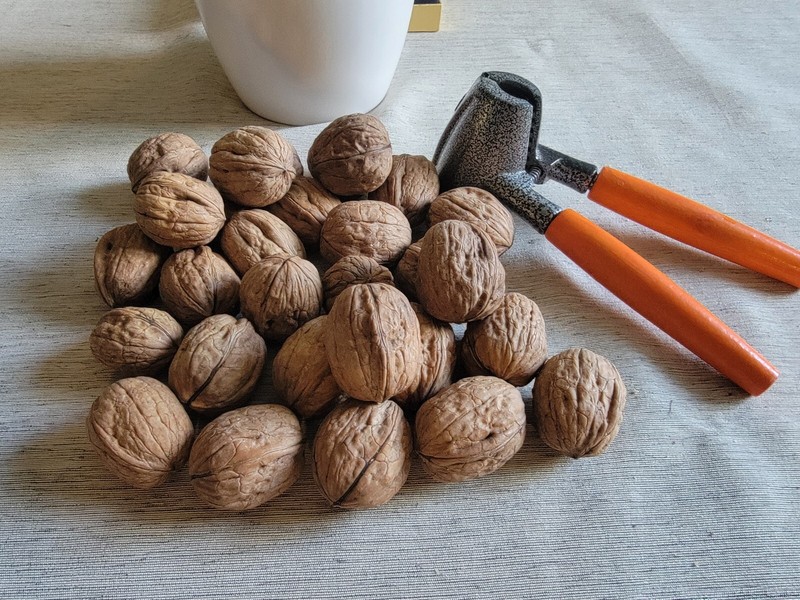 California Raw Shelled Walnuts Halves & Pieces Bulk Size Lots* 1 3 5 10 20+ LBS gallery