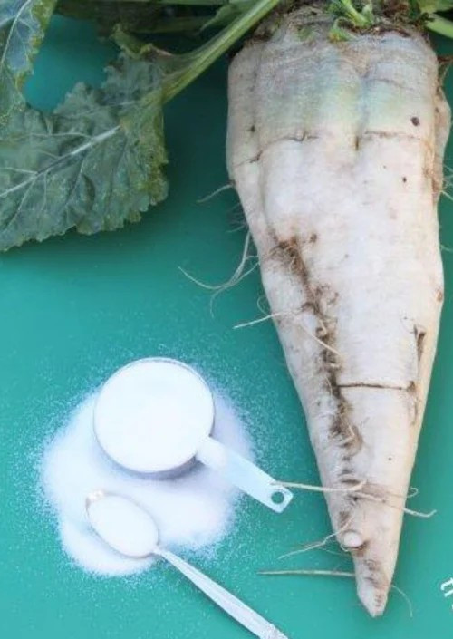 Sugar Beet- 1 TBS (300-325 Seeds) gallery
