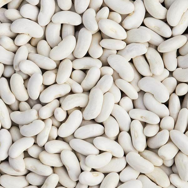 Large cannellini beans gallery