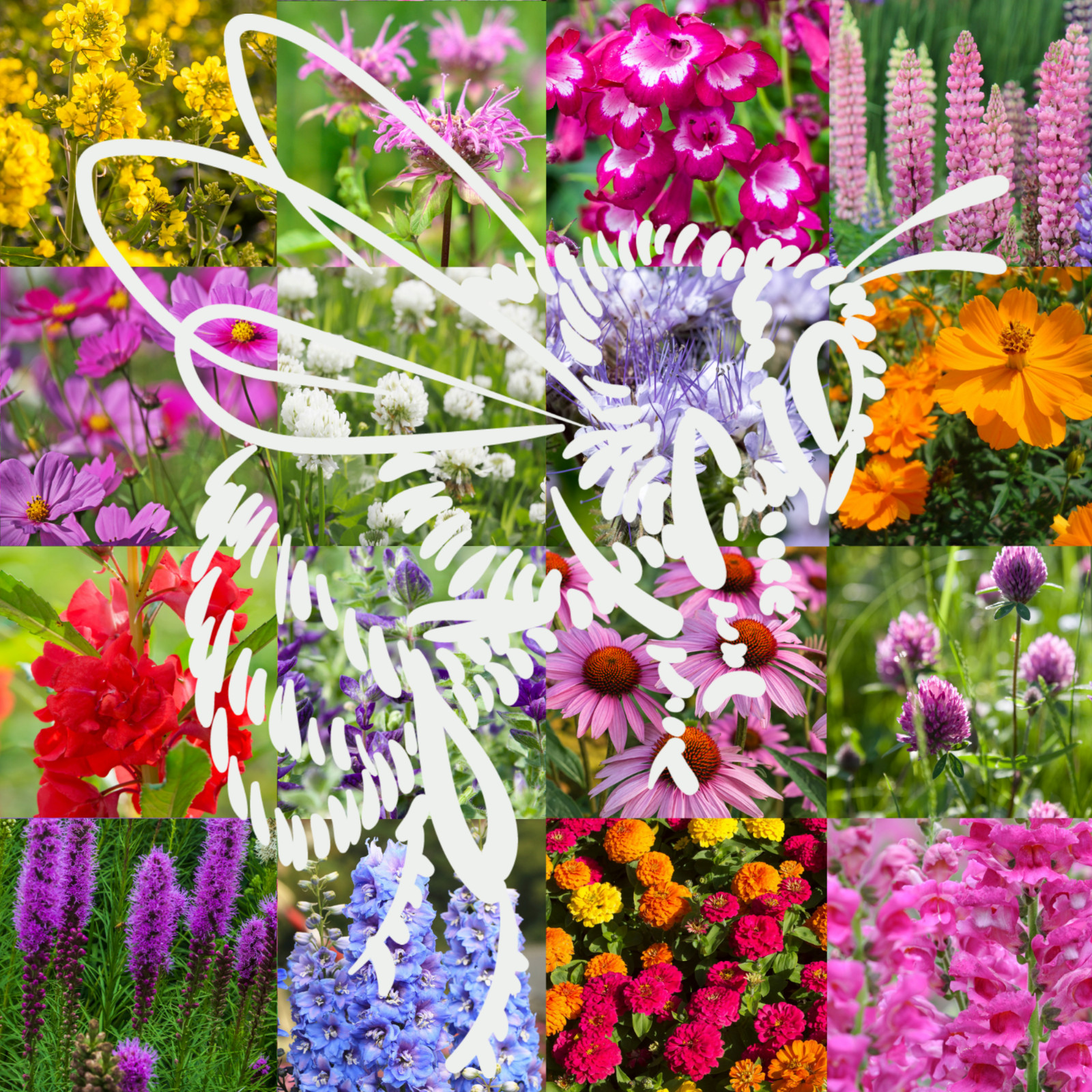 Birds, Bees, Butterflies, Pollinators Bulk Wildflower Seed Mix gallery