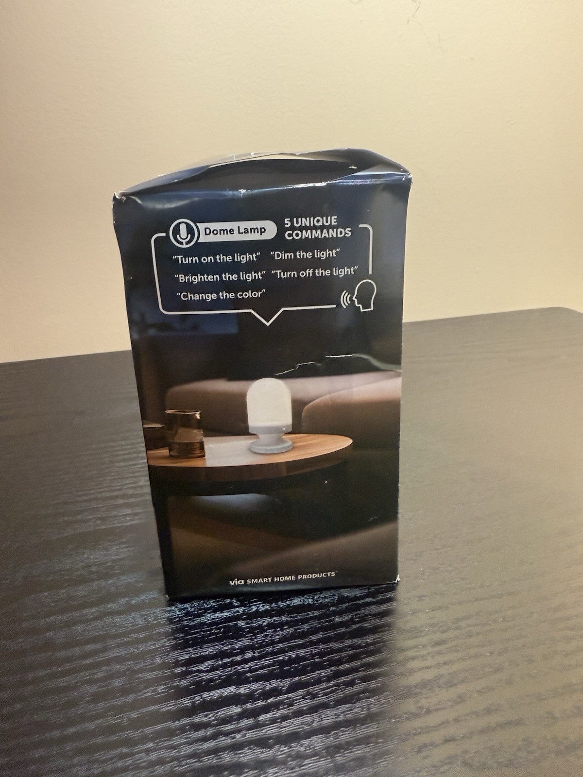 Voice Controlled Tabletop Light gallery