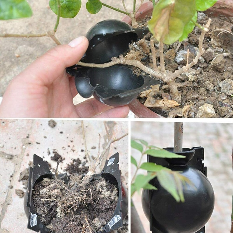 100Pcs Garden Grow Device Propagation Ball Plant Grafting Root High Pressure Box gallery