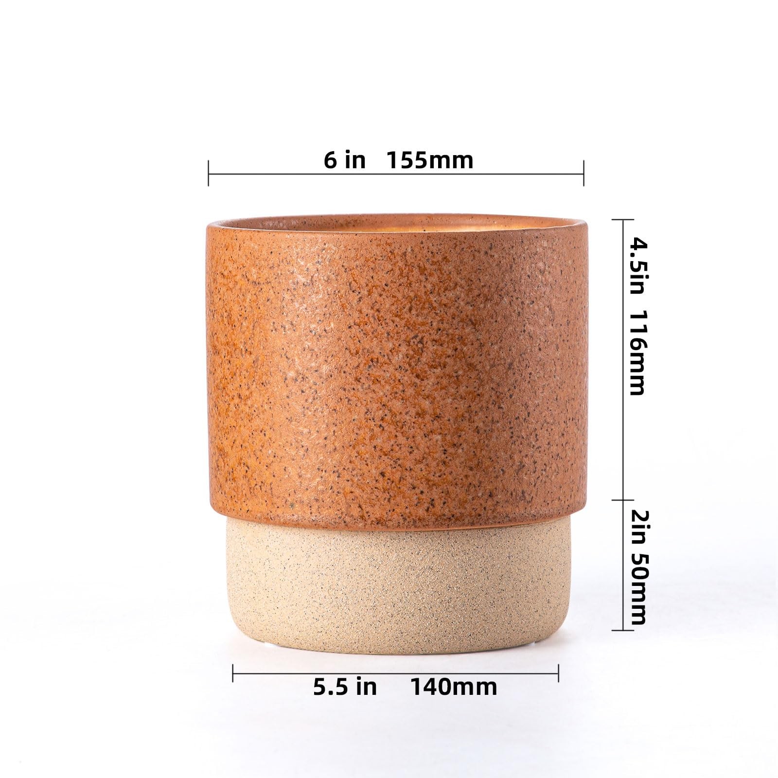 Chubacoo Self Watering Plant Pot 6 Inch Ceramic Planter Drainage Hole Water gallery