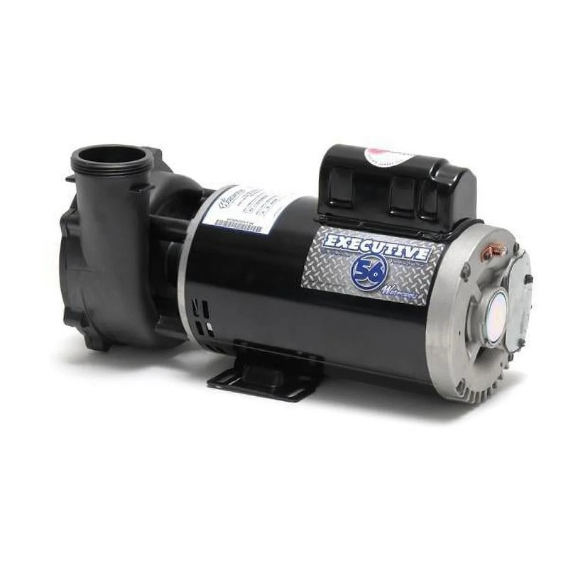 Executive 56-Frame 5HP Dual-Speed Spa Pump, 2-1/2in. Intake, 2in. Discharge, gallery