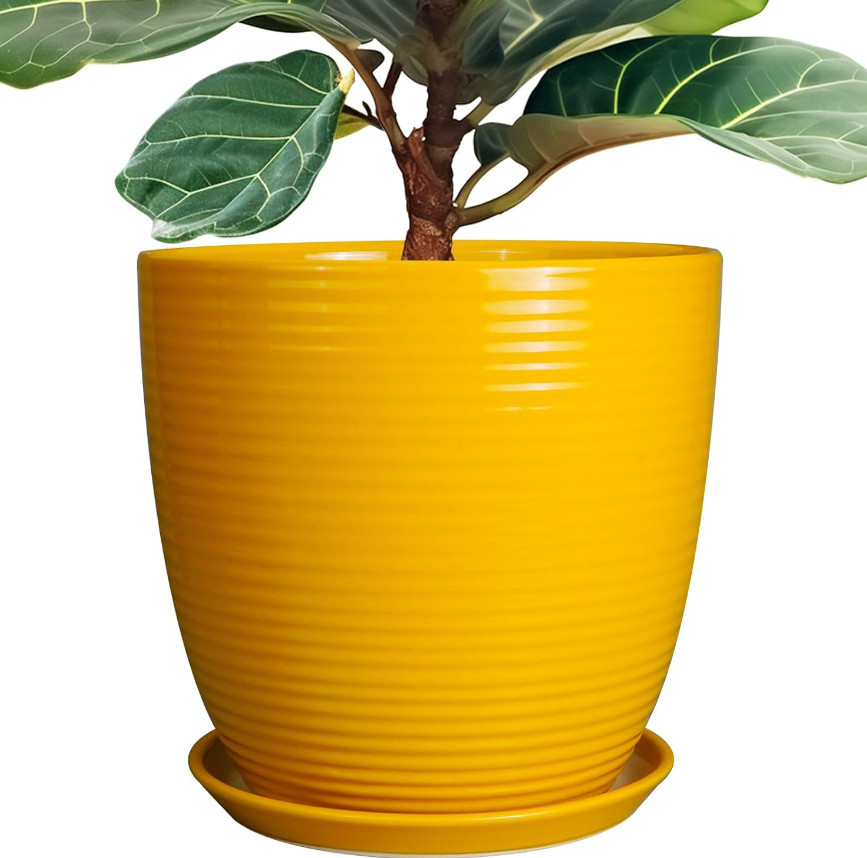 10 Inch Ceramic Planter Pot, Large Planter with Drainage Hole and Saucer Roun... gallery