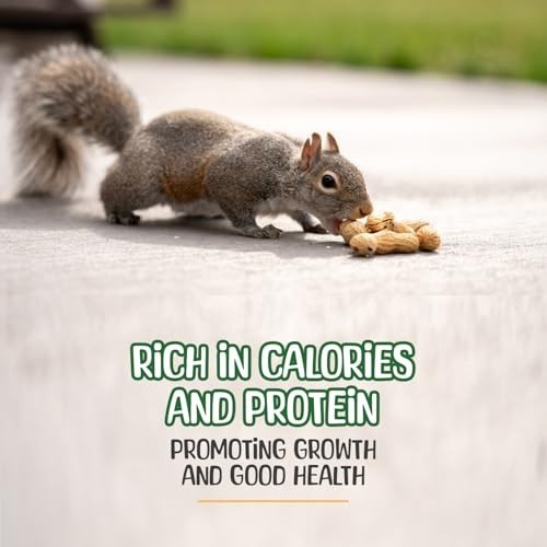 25 lb Raw Peanuts in Shell - All-Natural Wildlife Food for Squirrels, Birds & De gallery