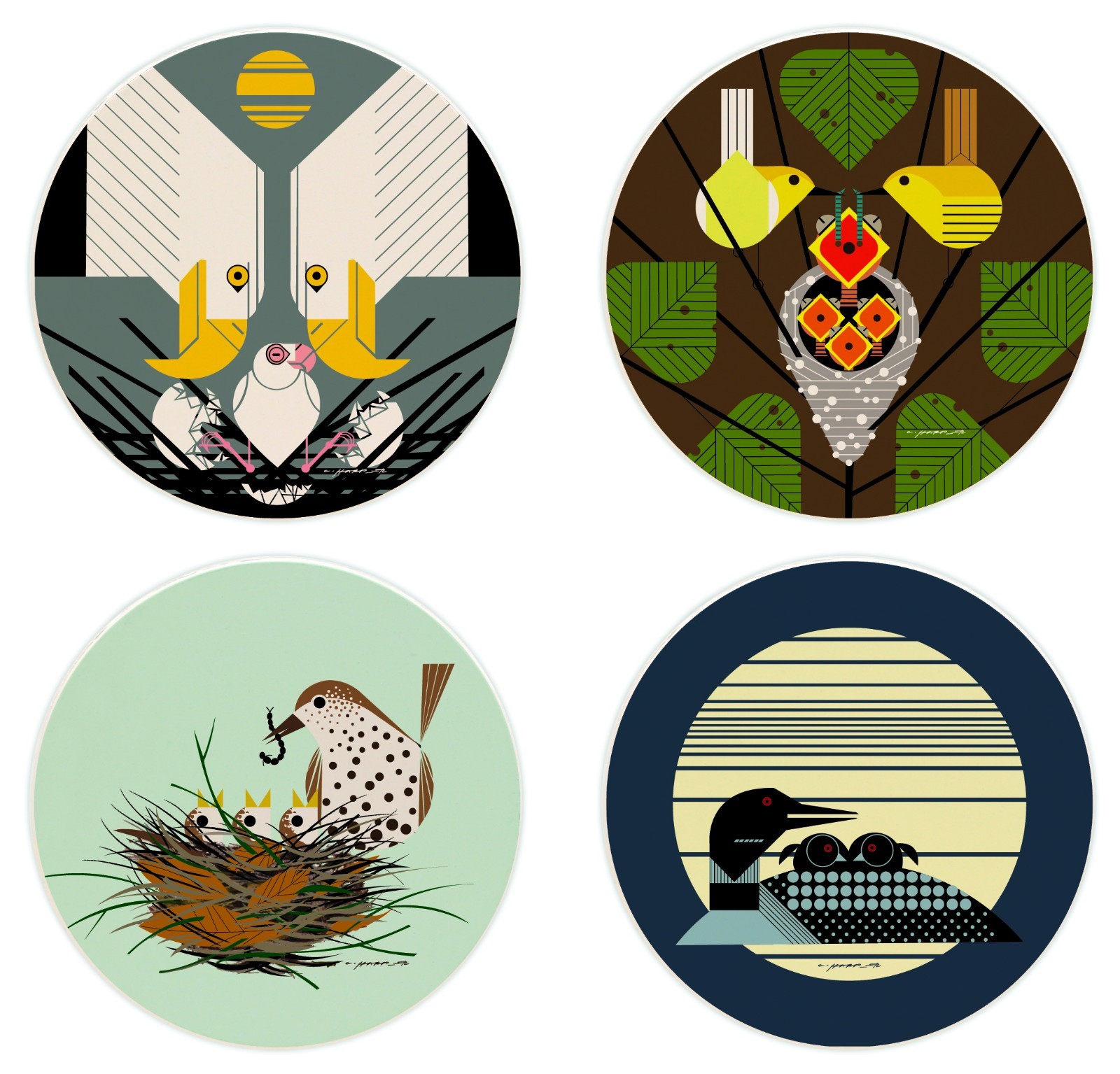 Charley Harper Fledgling Families Absorbent Coaster Set gallery