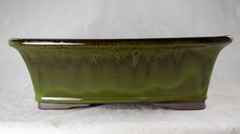 12″ Rectangular Moss Green Glazed Cactus & Succulent, Bonsai Planter – Pot/Set