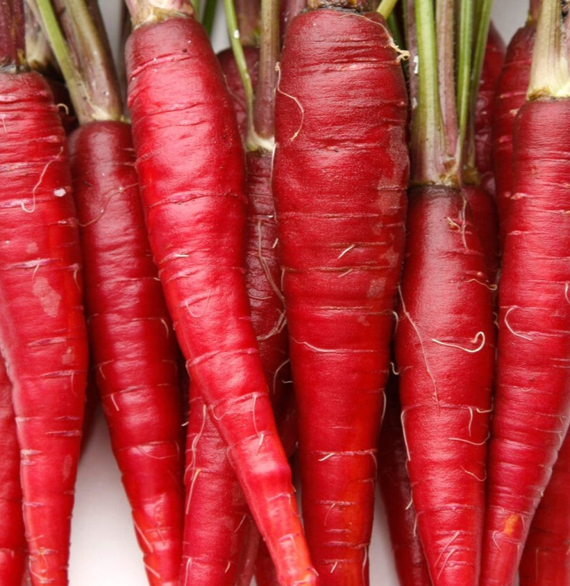 RED CARROT SEEDS 500+ "ATOMIC" vegetable GARDEN plants NON-gmo FREE SHIPPING gallery